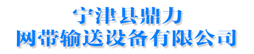 输送网带系列-宁津县鼎力网带输送设备有限公司-